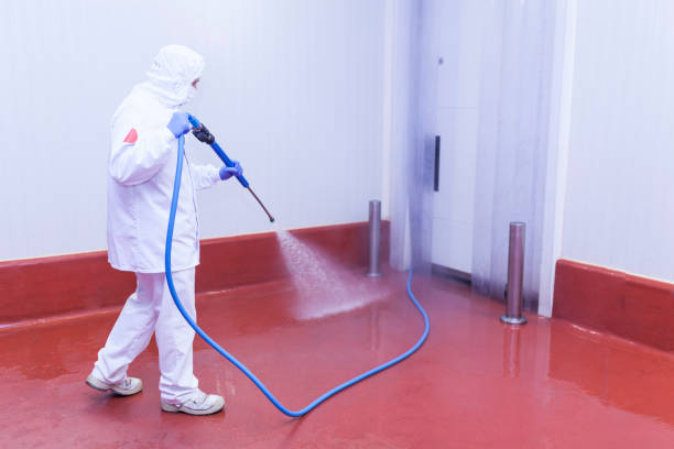 Why Choose Our Pressure Washing Services in Florida
