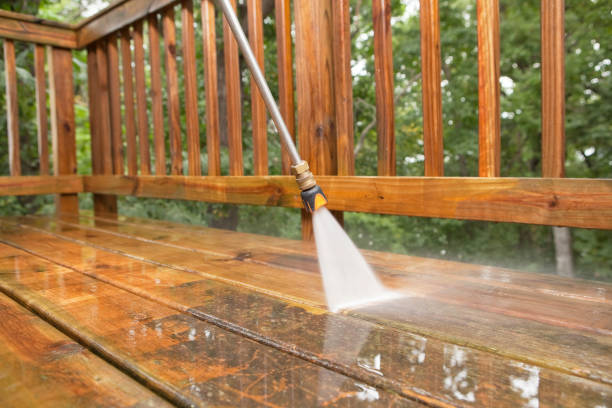 Best Roof Washing  in Lake Mary, FL